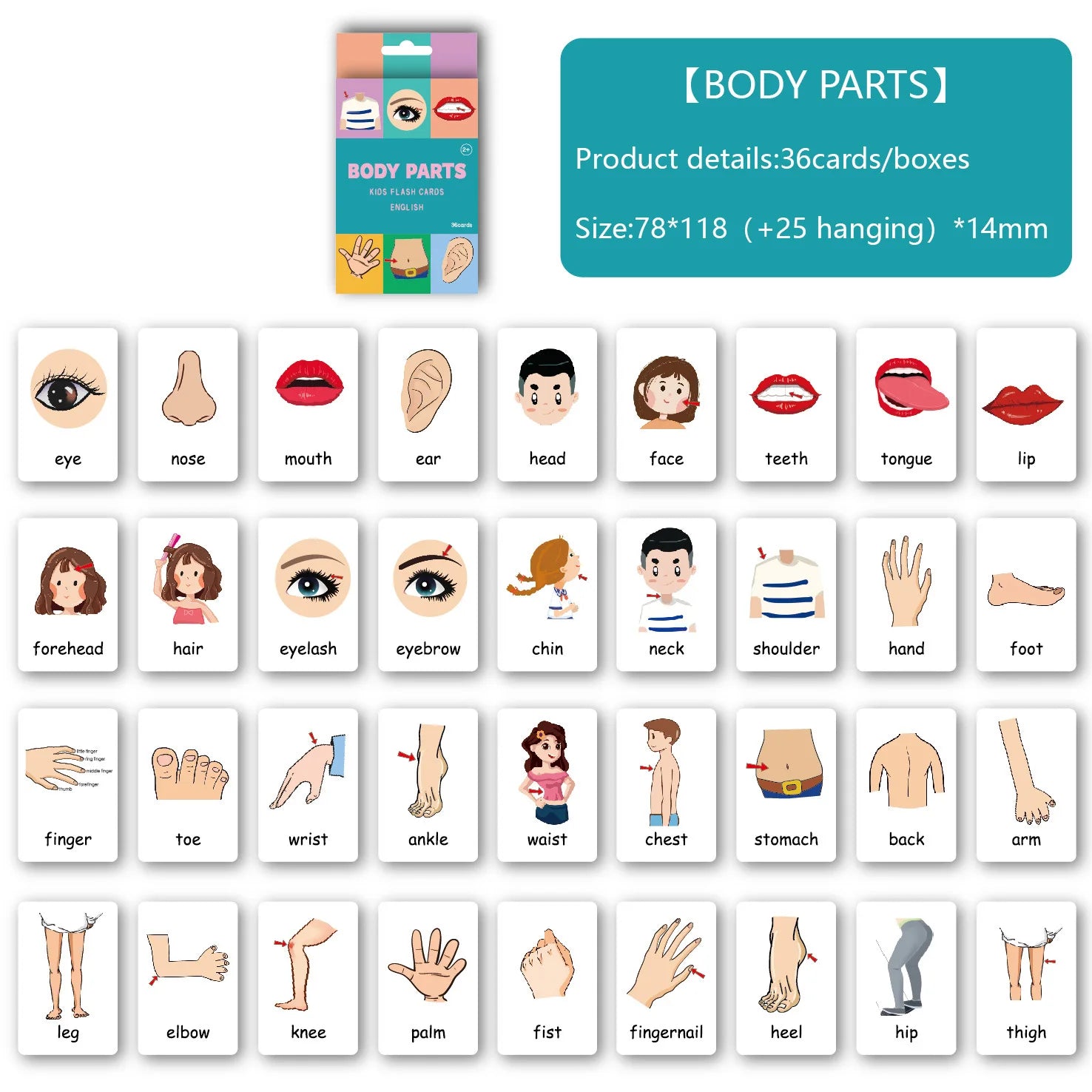 Early Learning Flash Cards – 36-Piece Educational Card Set