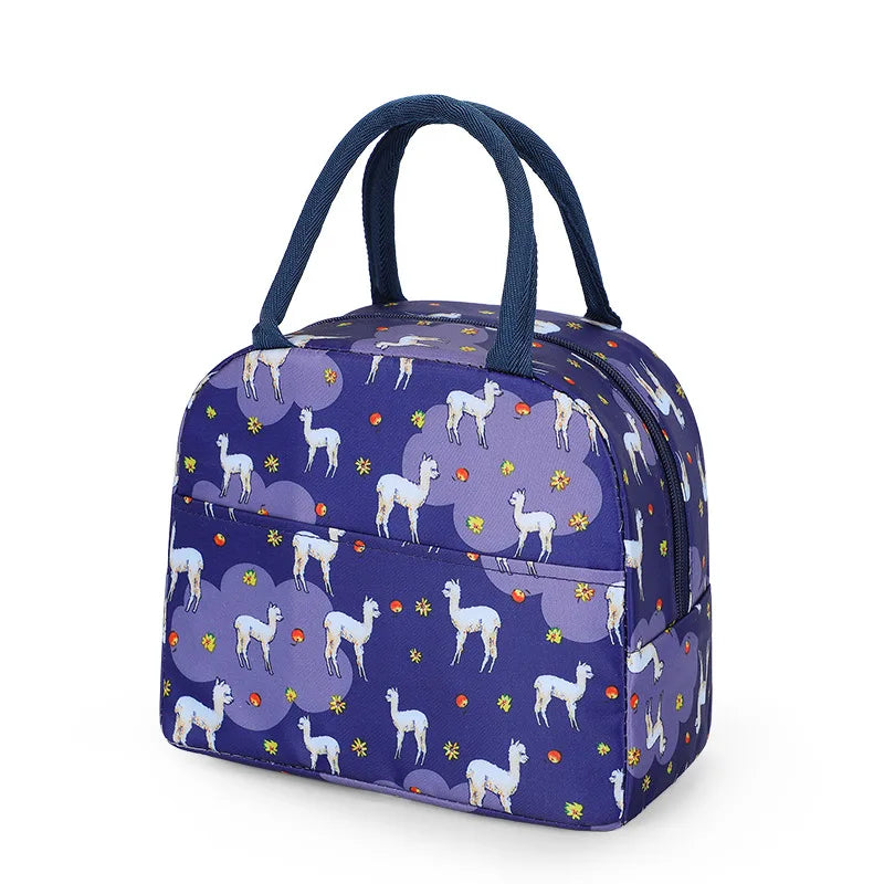 Patterned Insulated Lunch Bag – Portable School & Picnic Cooler Bag