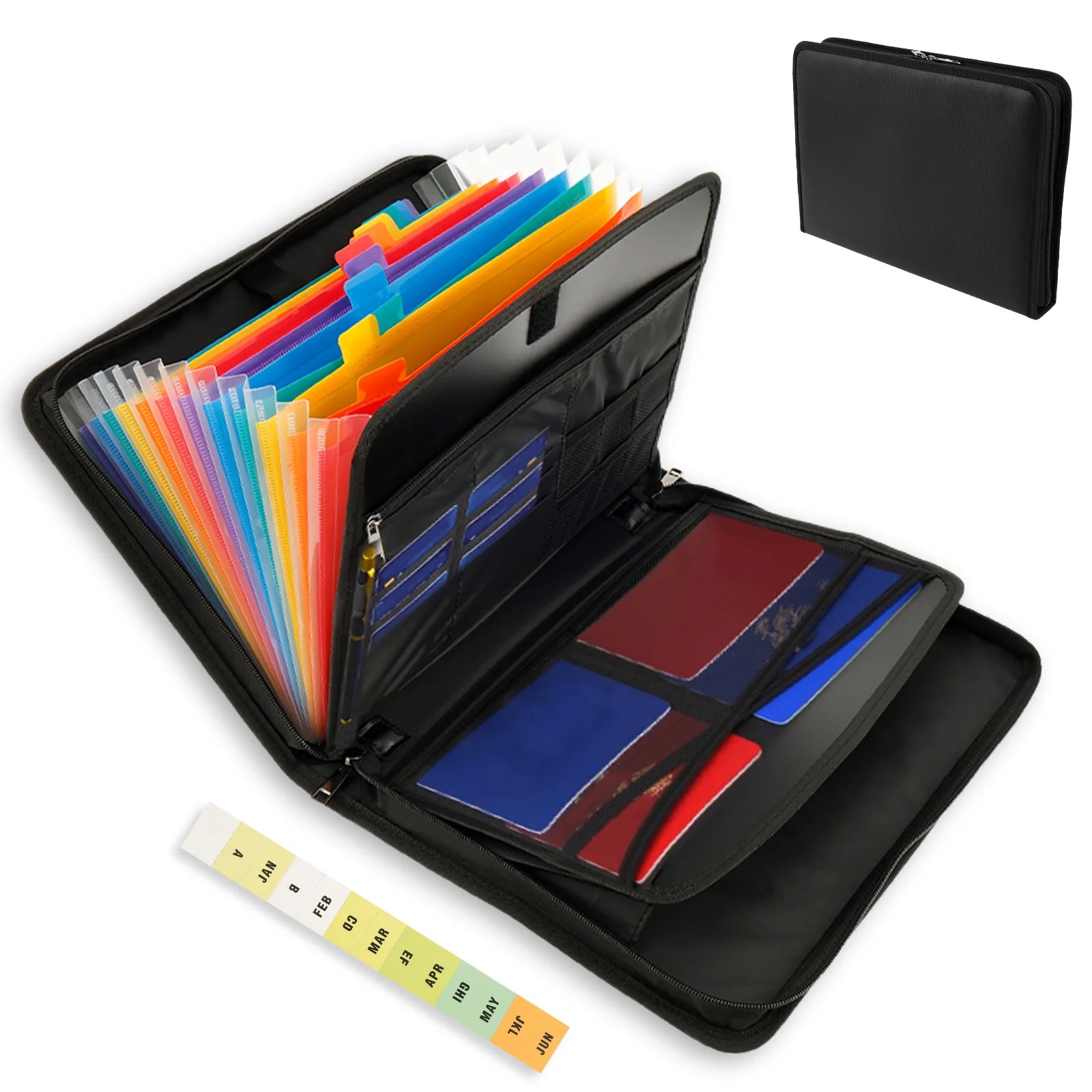 Expandable Document Organizer with Labels – School & Home File Folder