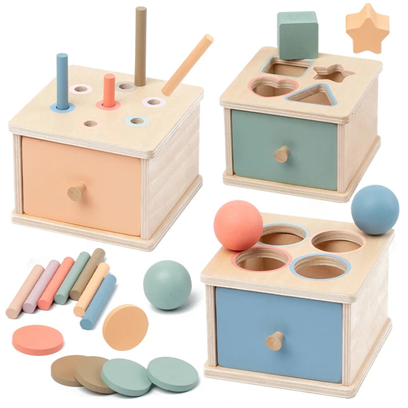 Wooden Shape & Colour Sorting Box – Montessori-Inspired Fine Motor Toy